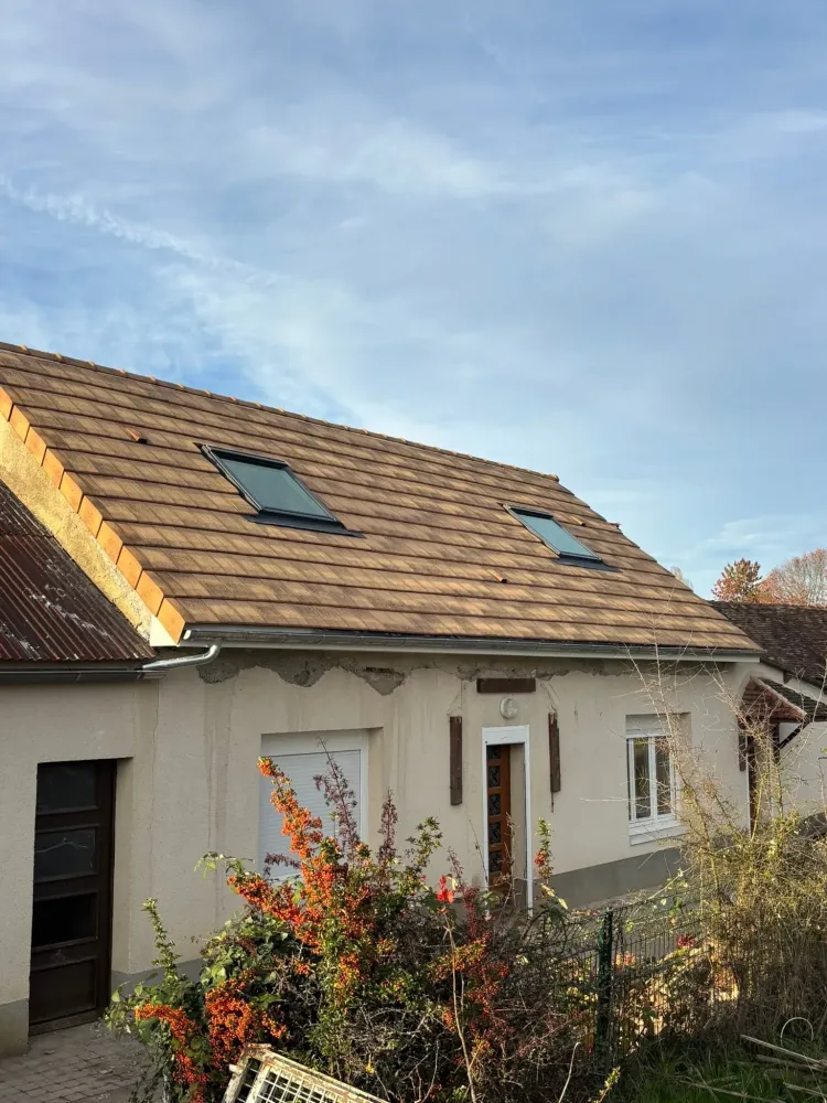 Démoussage de toiture à Le Mans