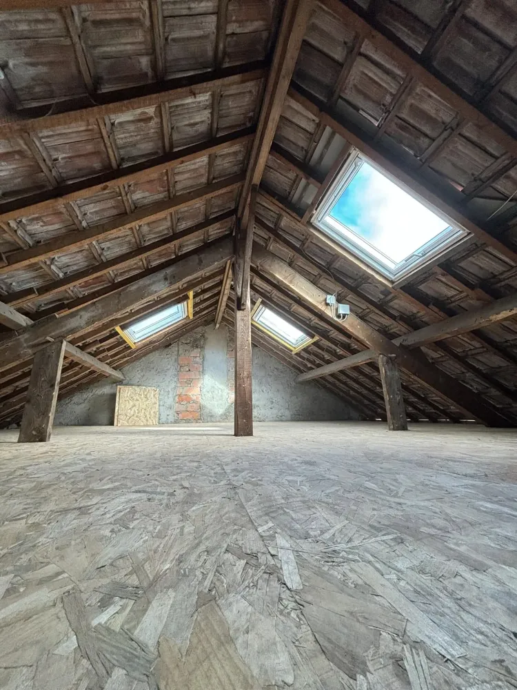 velux combles